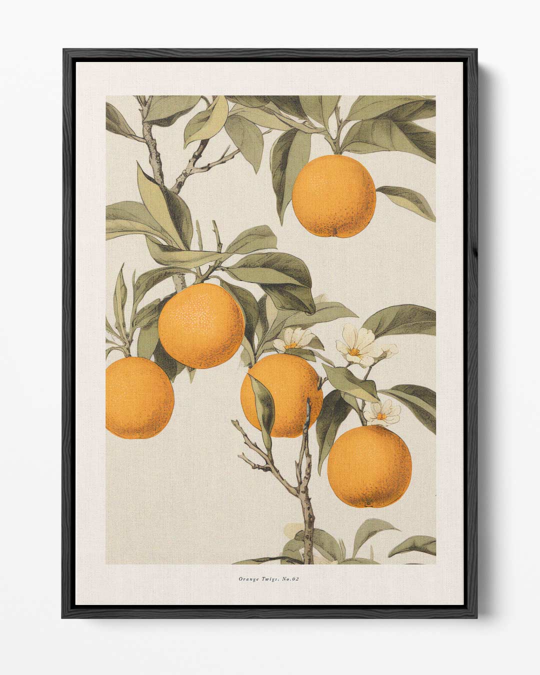 Vintage Sinaasappel Illustratie – portret kunstwerk als wanddecoratie