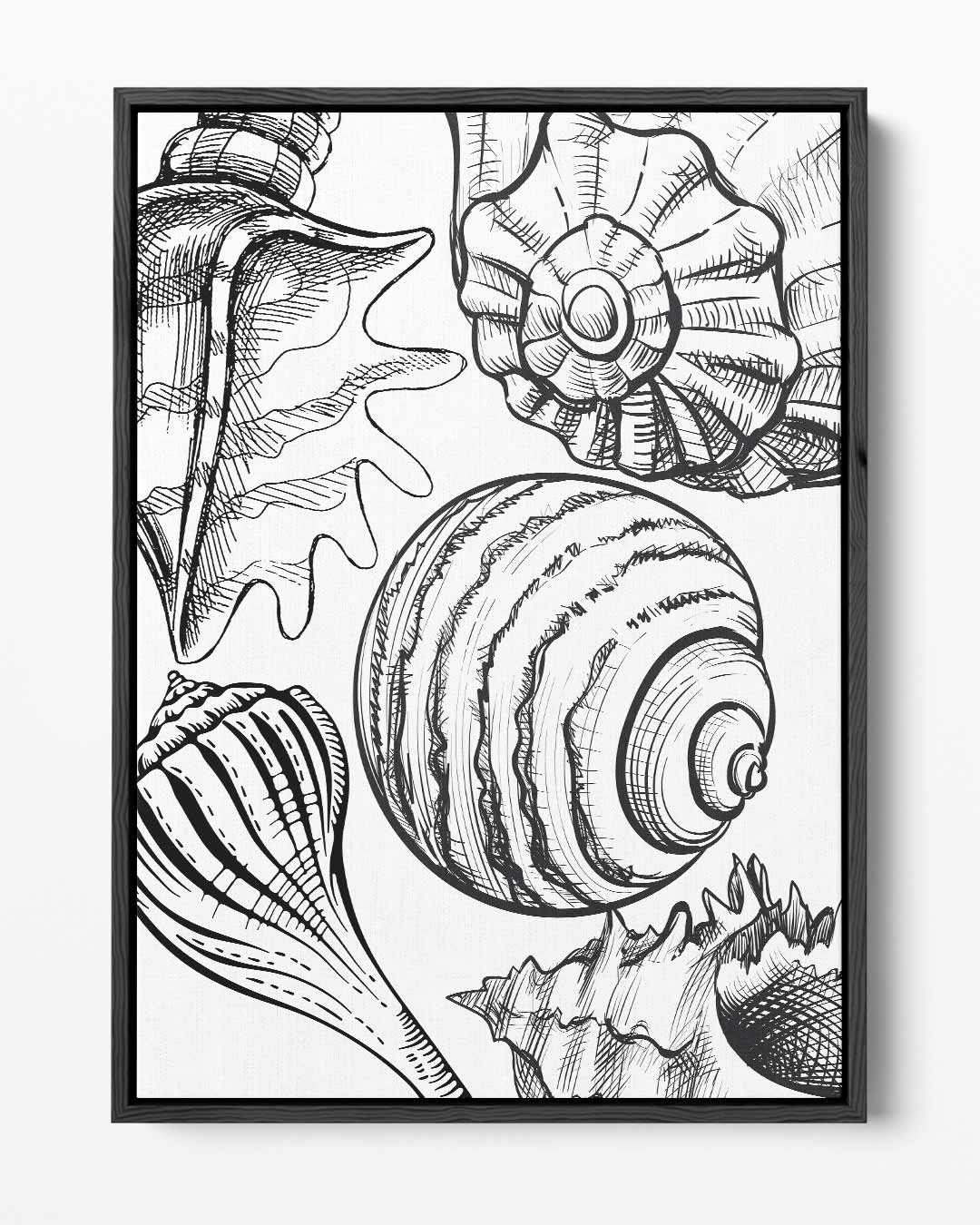 Schelpen Illustratie – portret kunstwerk als wanddecoratie