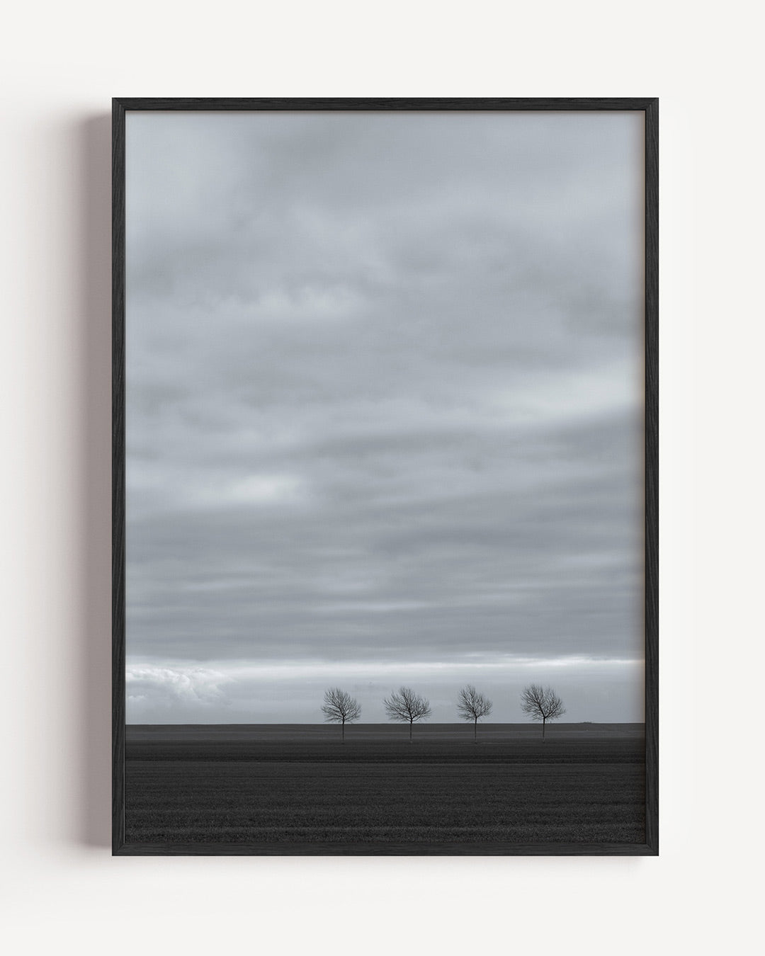 Landschap poster – portret wanddecoratie – deze poster toont een horizon met vier kale bomen onder een bewolkte lucht. De