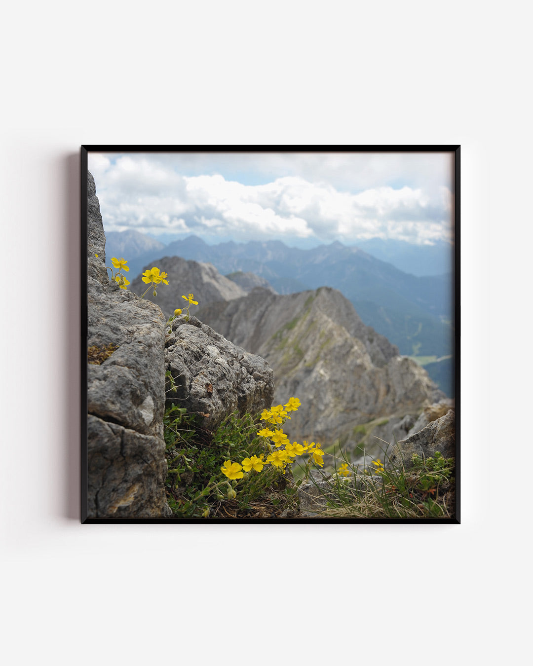 Berglandschap met bloemen poster – vierkante wanddecoratie – deze poster toont een ruig berglandschap met gele bloemen op de