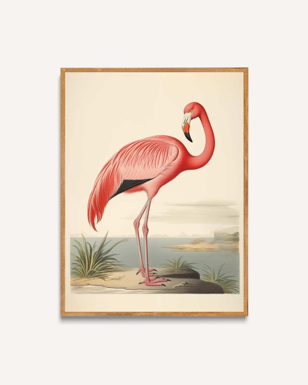 Tropische flamingo Poster – portret poster als wanddecoratie