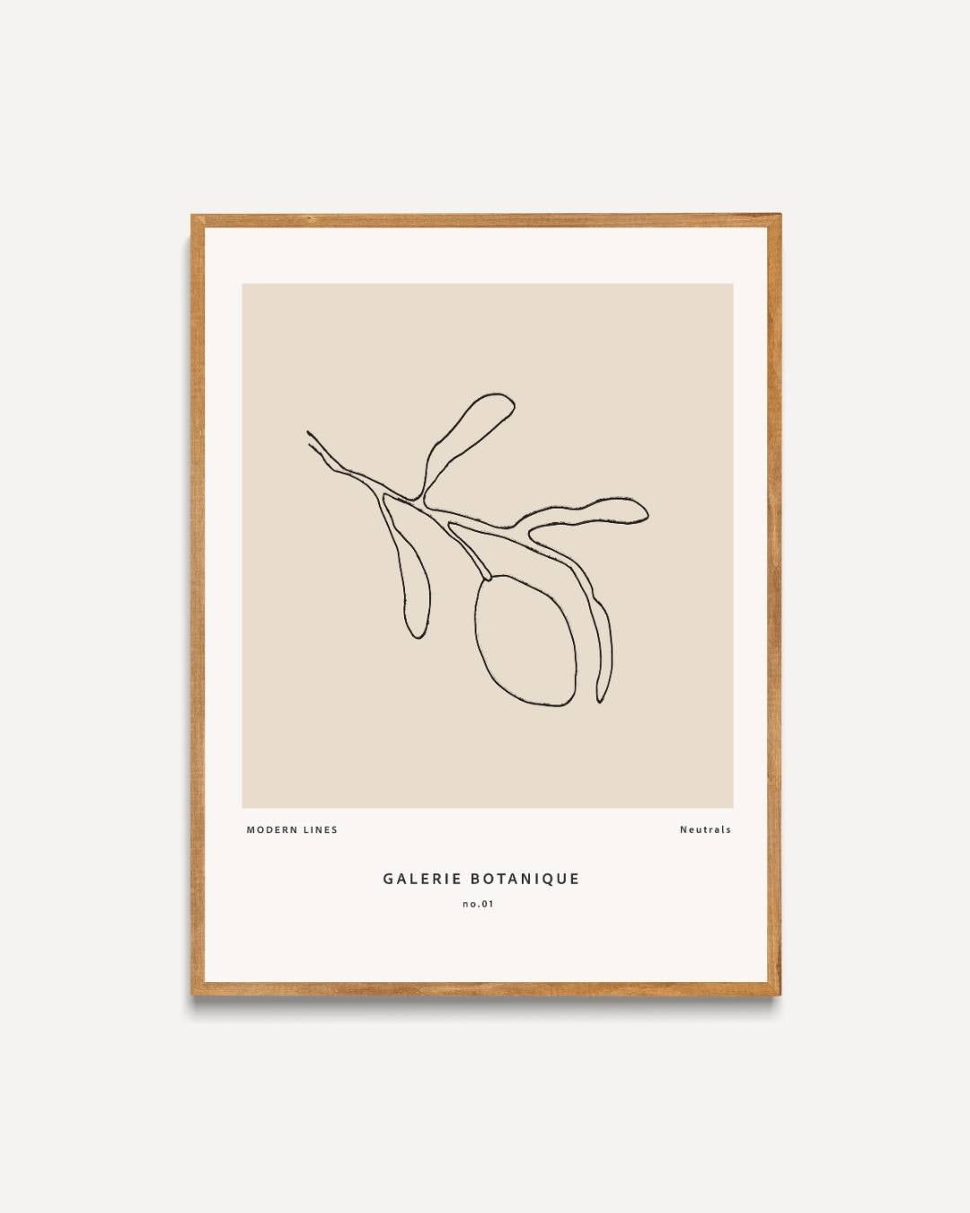 Modern botanical line drawing Poster – portret poster als wanddecoratie