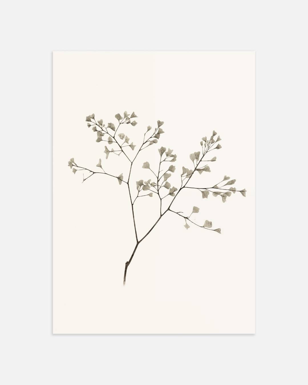 Minimalistische botanische tak Poster – portret wanddecoratie van WallArtistic