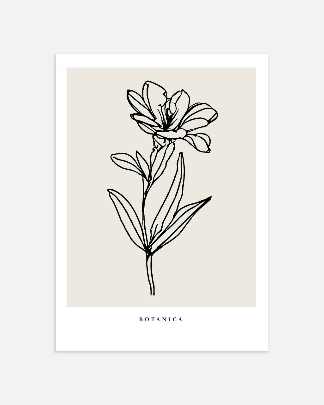 Klassieke bloem lijntekening Poster – portret wanddecoratie van WallArtistic