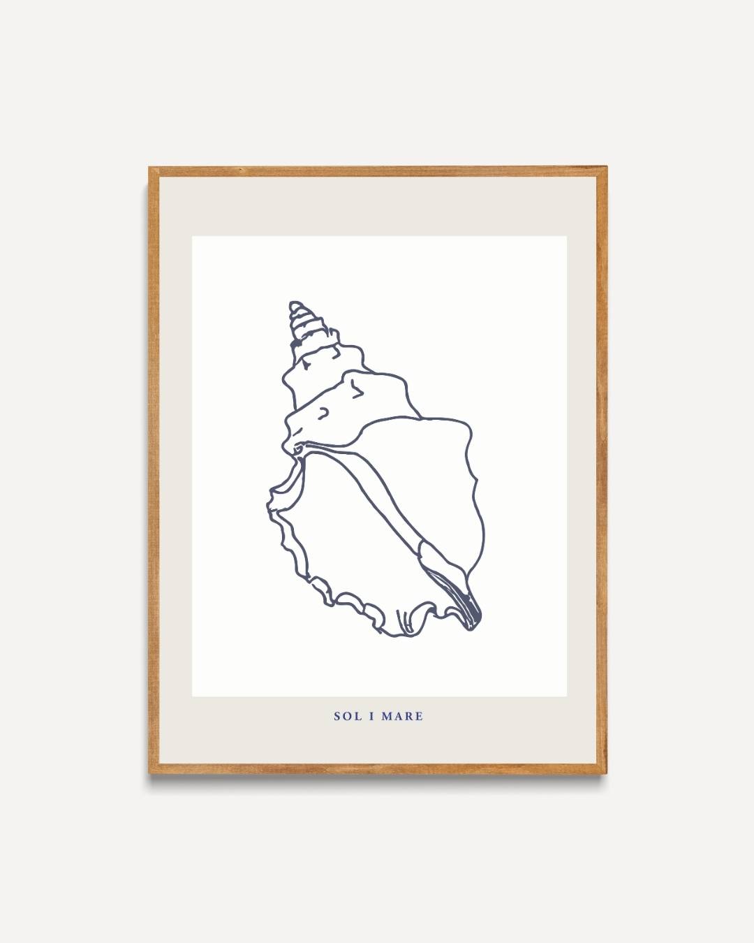 Schelp lijntekening Poster – portret poster als wanddecoratie