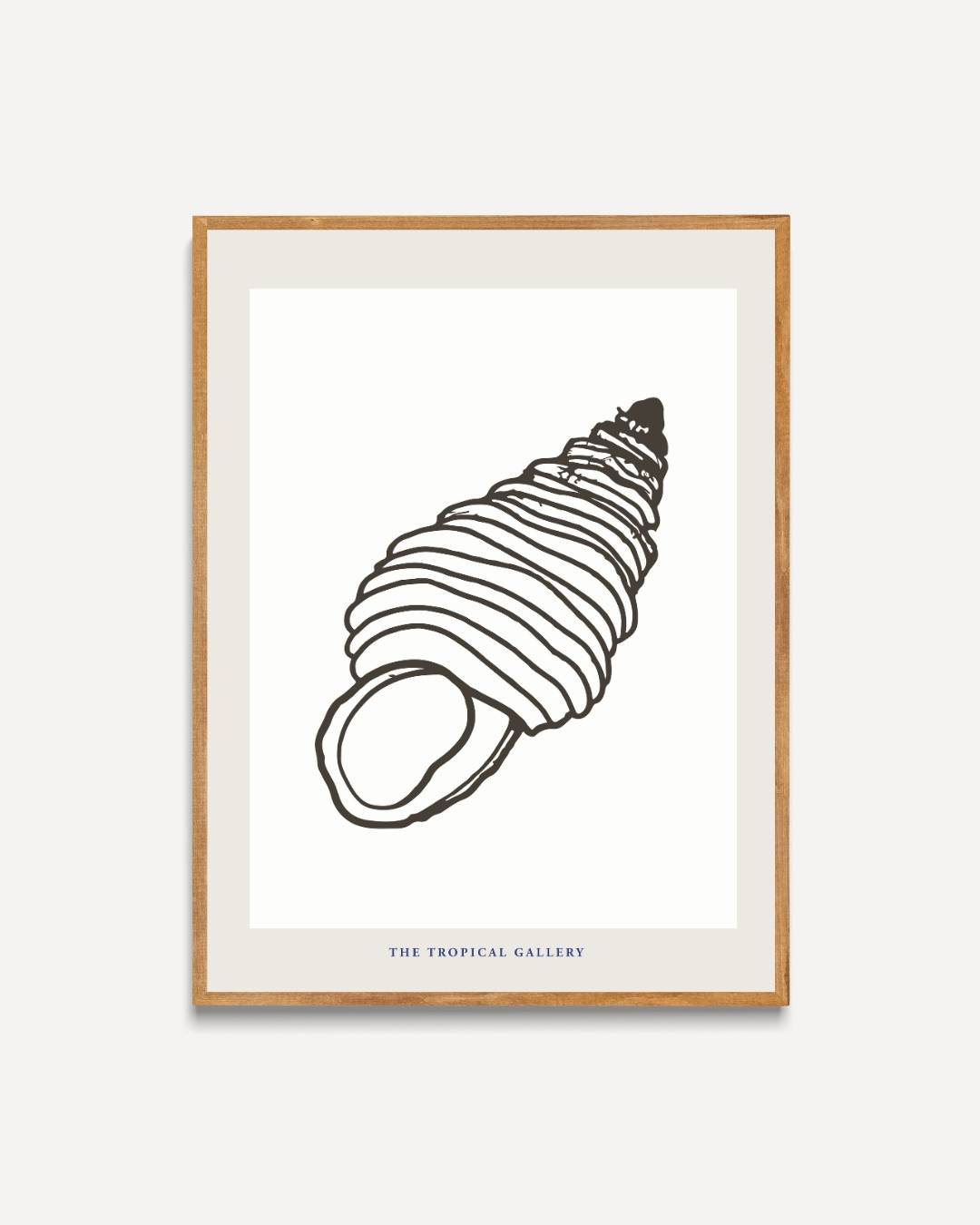 Tropische schelp Poster – portret poster als wanddecoratie