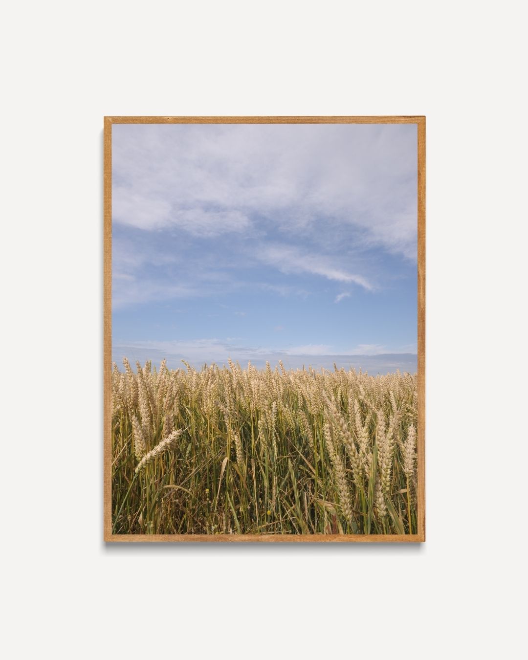 Tarweveld onder blauwe hemel Poster – portret poster als wanddecoratie