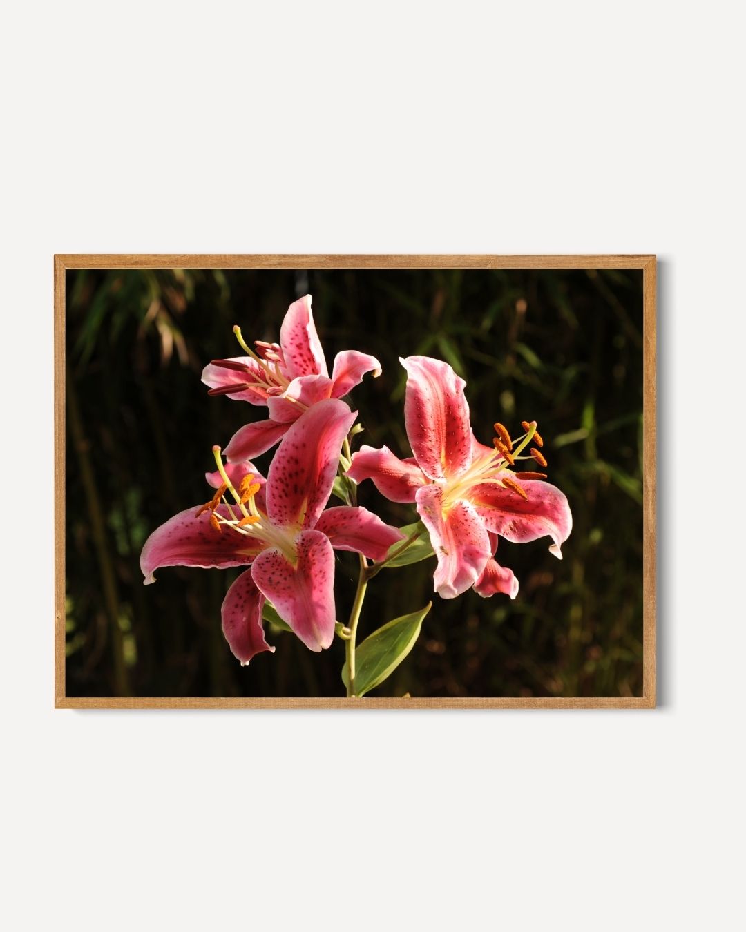 Pink lilies Poster – portret poster als wanddecoratie