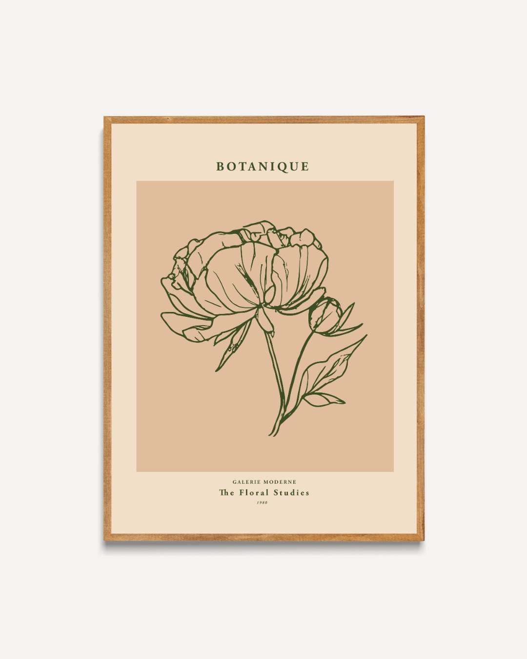 Flora botanische schets Poster – portret poster als wanddecoratie
