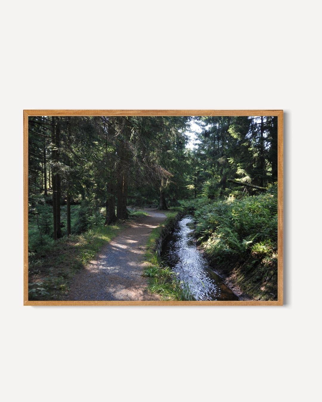 Boswandeling Poster – portret poster als wanddecoratie