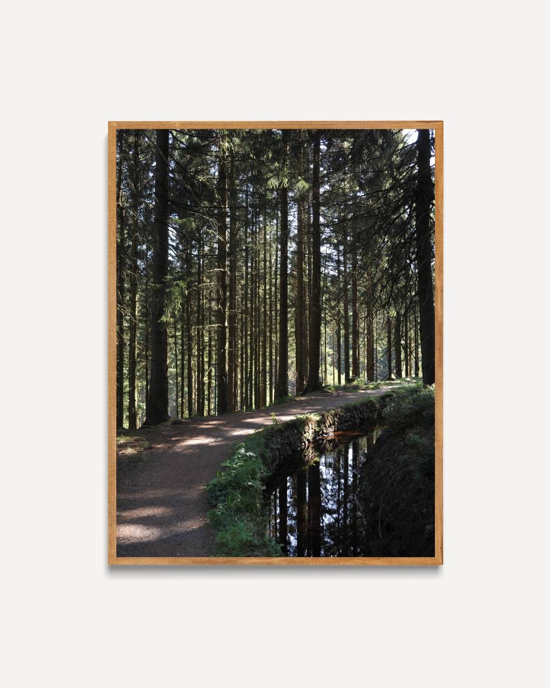 Boswandeling langs serene paden Poster – portret poster als wanddecoratie