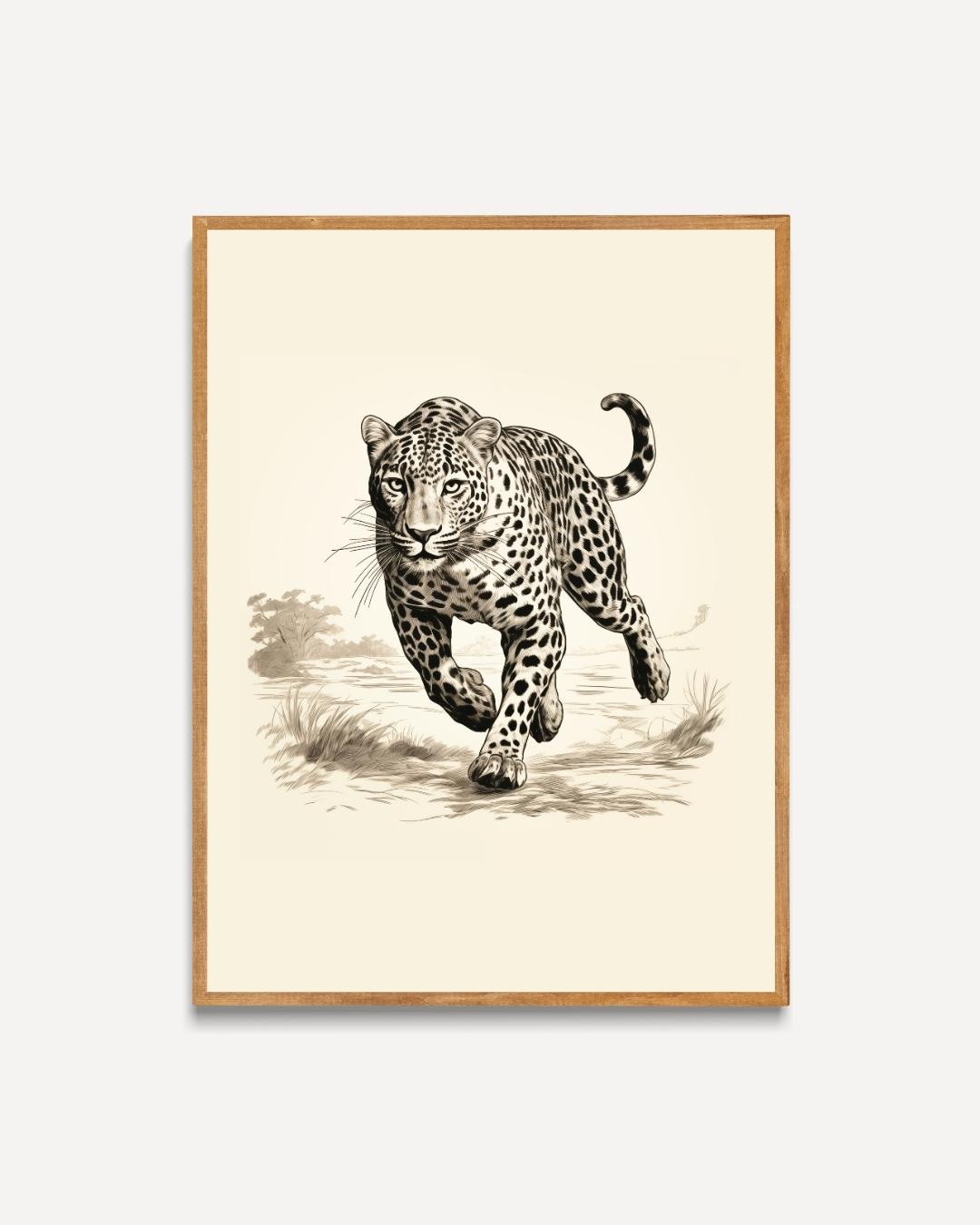 Luipaard in actie Poster – portret poster als wanddecoratie