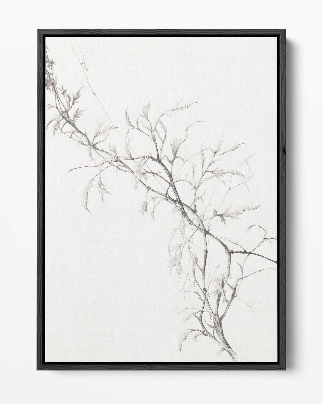 Delicate Dans van Takken – portret kunstwerk als wanddecoratie