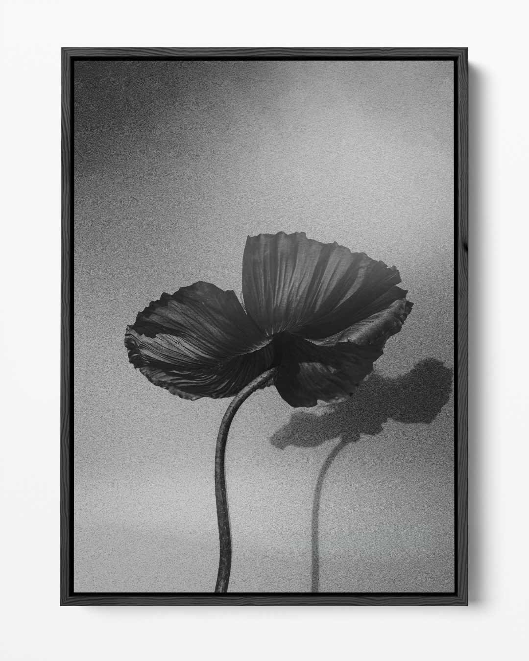Zwart-wit Bloemen – portret kunstwerk als wanddecoratie