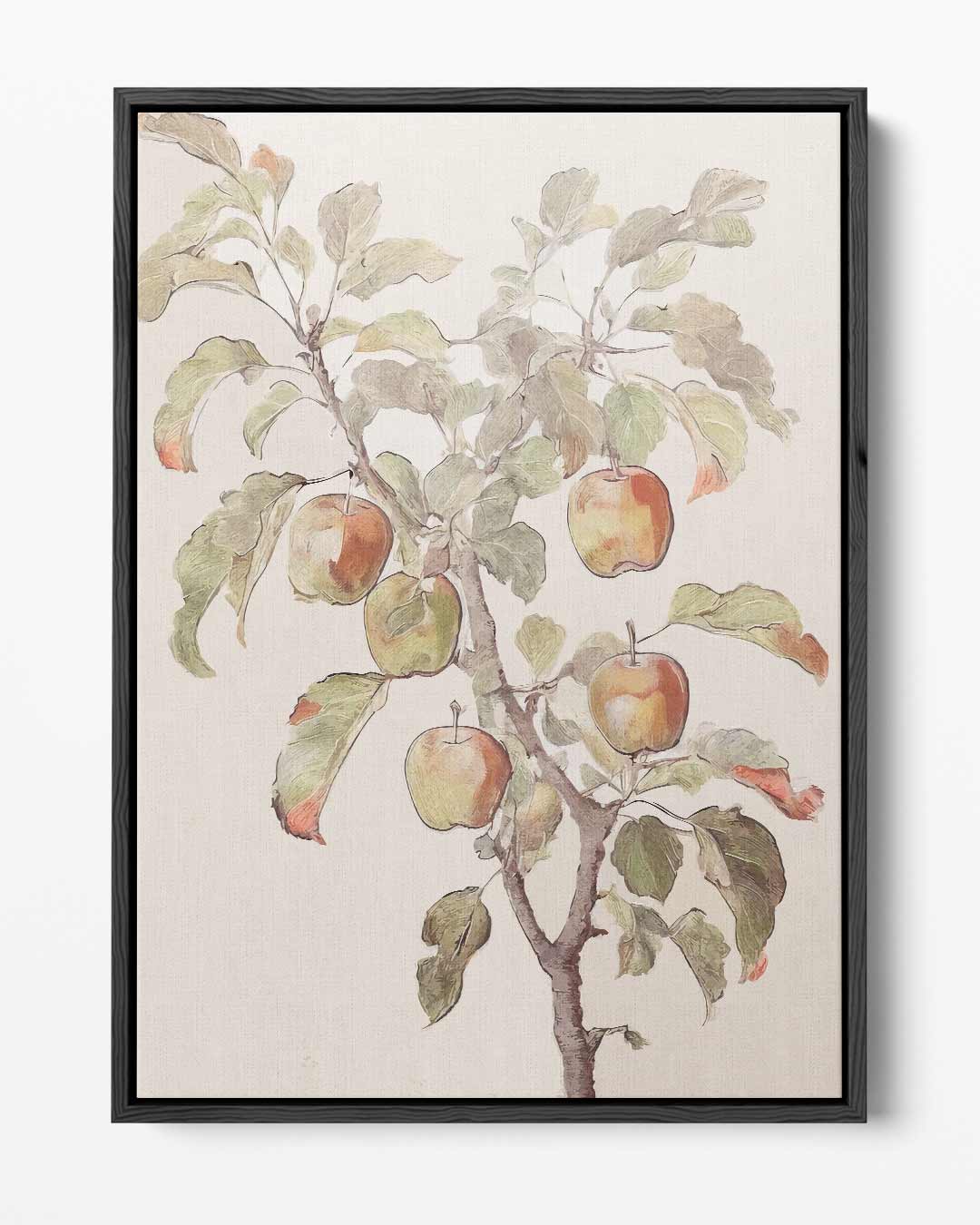 Appelboom Illustratie – portret kunstwerk als wanddecoratie