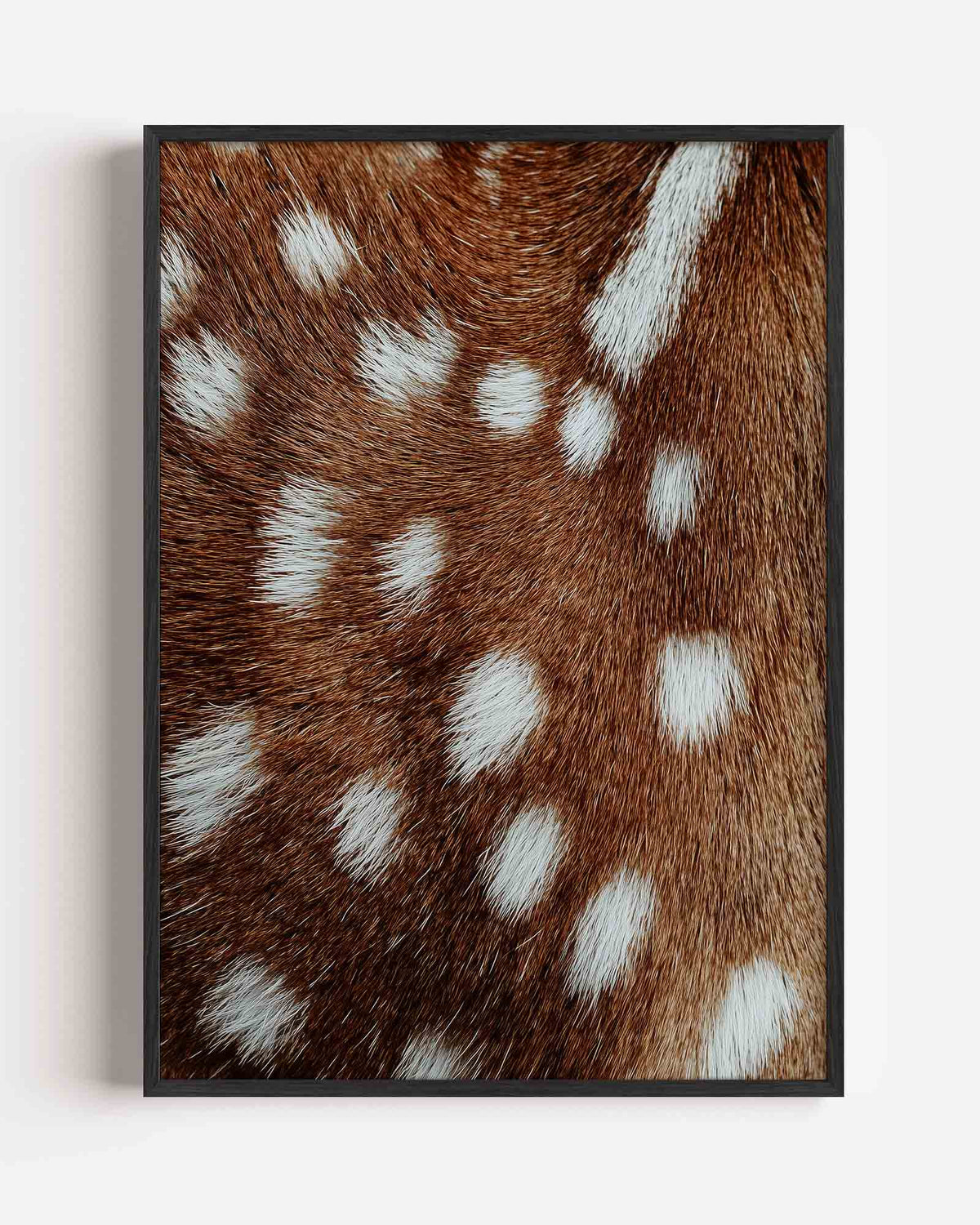 Gevlekte vacht – safari portret poster als wanddecoratie