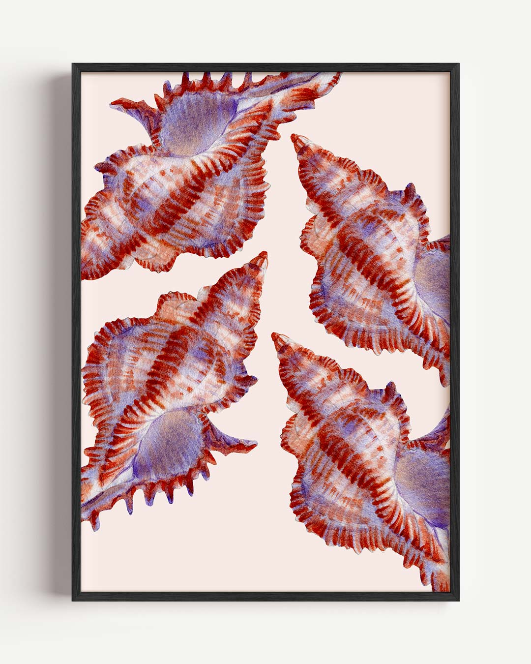 Rode en paarse schelpen – zeedieren portret poster als wanddecoratie