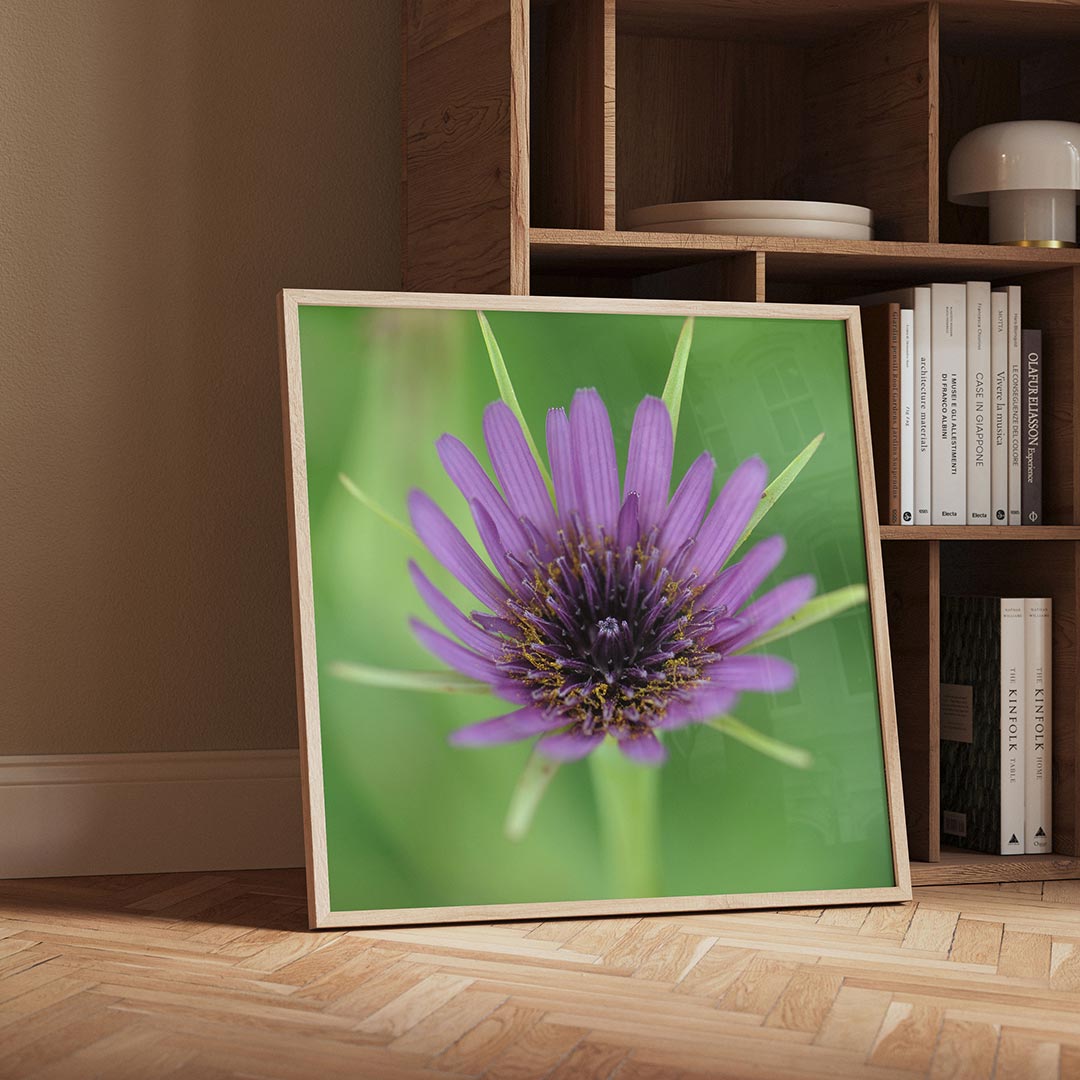 Paarse bloem close up poster – detailweergave – deze poster toont een gedetailleerde close-up van een paarse bloem met