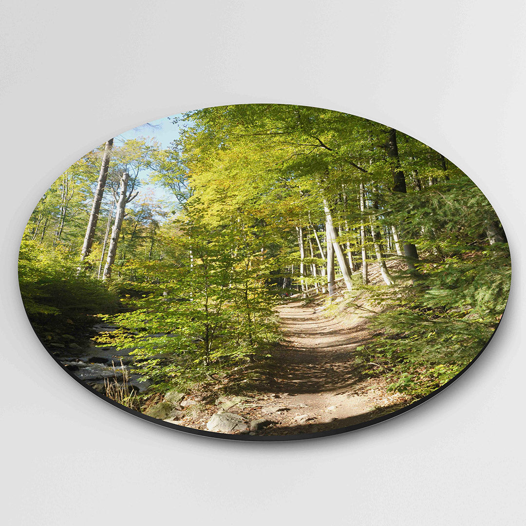Boswandeling – muurcirkel fotografie als moderne wanddecoratie