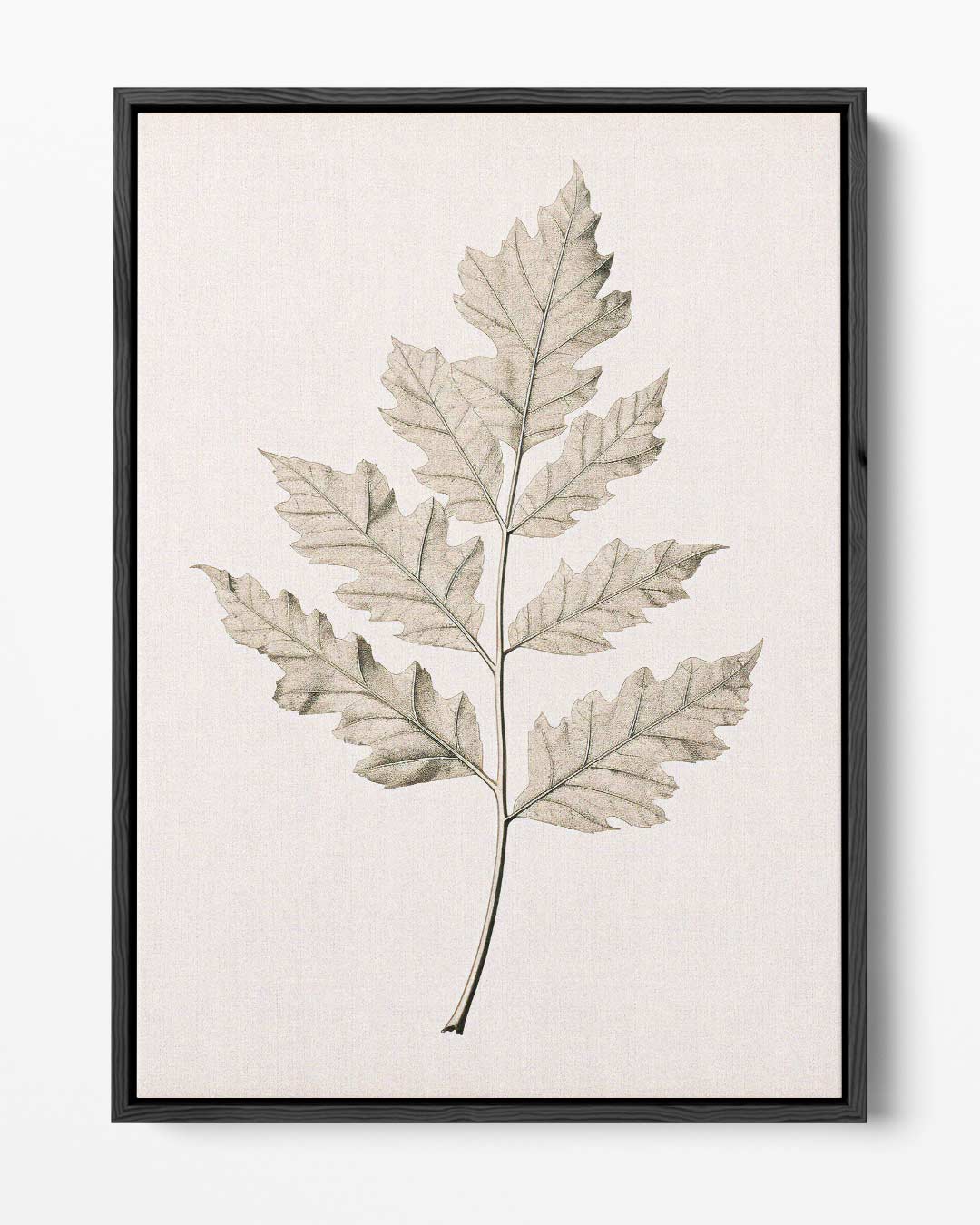 Botanische Elegantielijn – portret kunstwerk als wanddecoratie