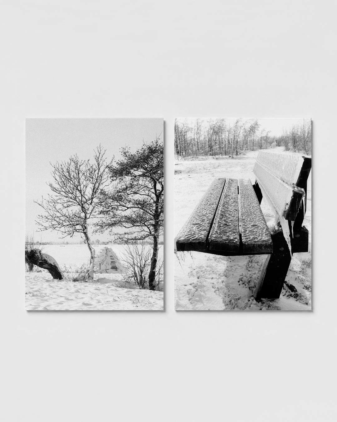 Winterse boomlijnen posterset – sfeerbeeld – twee bomen staan in een besneeuwd landschap. De takken vormen een delicaat