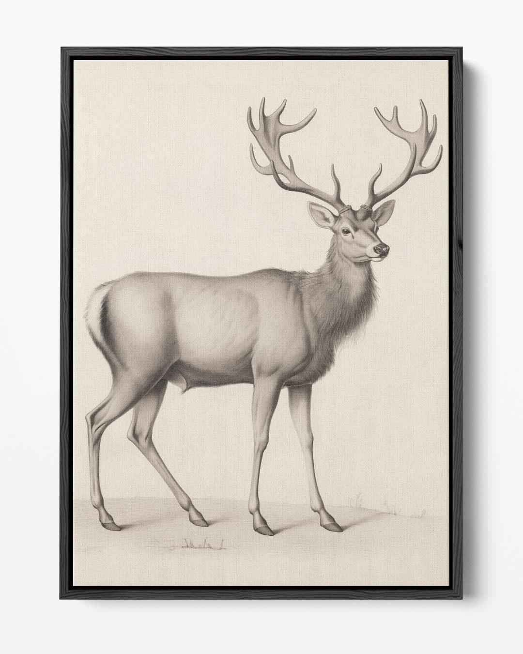 Majestueuze Hertentekening – portret kunstwerk als wanddecoratie