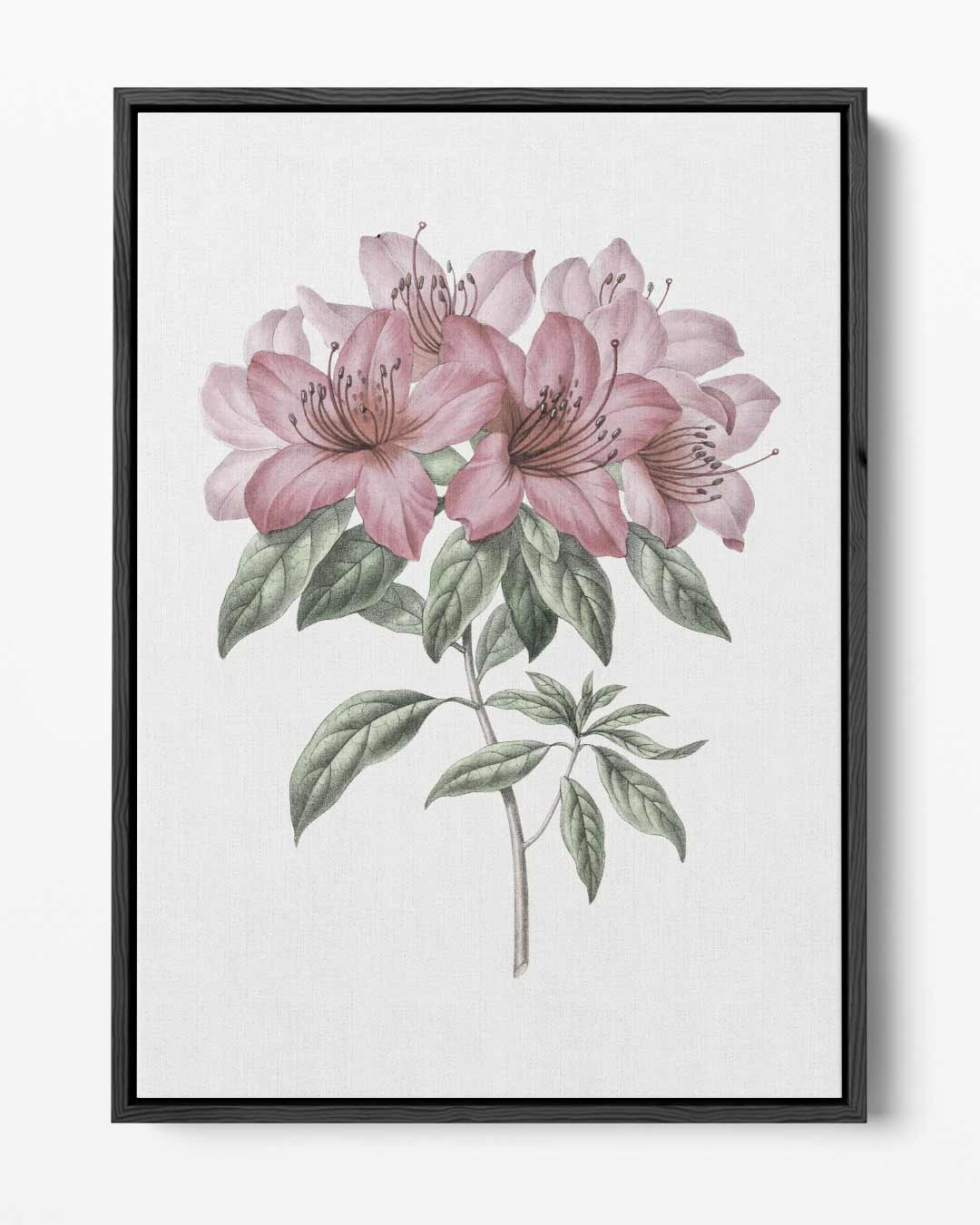 Bloeiende Azalea Schilderij – portret kunstwerk als wanddecoratie