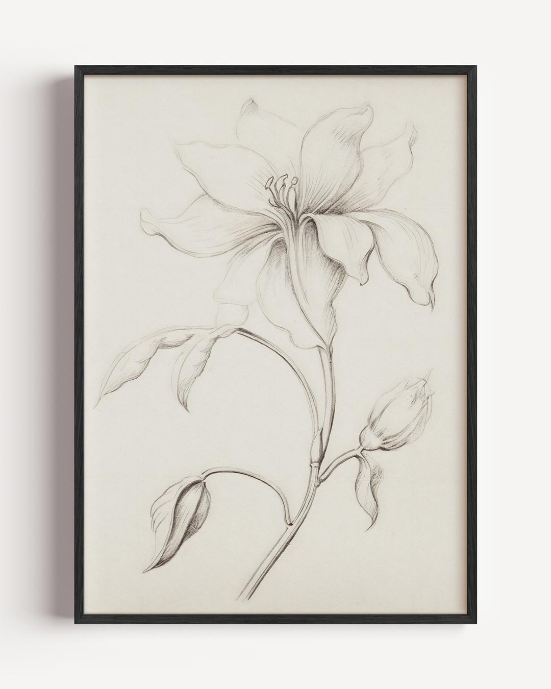 Botanische Tekening – vintage portret poster als wanddecoratie