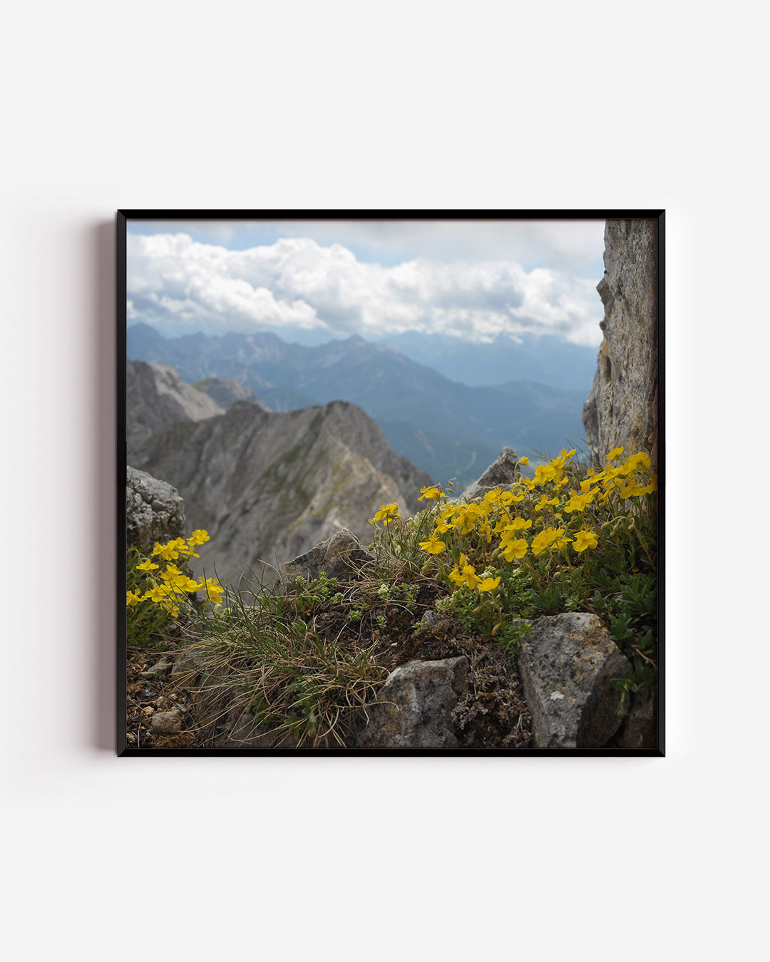 Berglandschap met bloemen poster – vierkante wanddecoratie – deze poster toont een berglandschap met gele bloemen op de