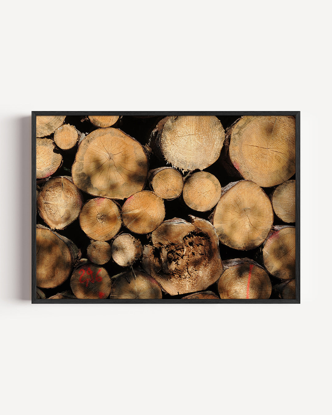Houtstapel textuur poster – liggende wanddecoratie – deze poster toont een stapel boomstammen met zichtbare jaarringen en