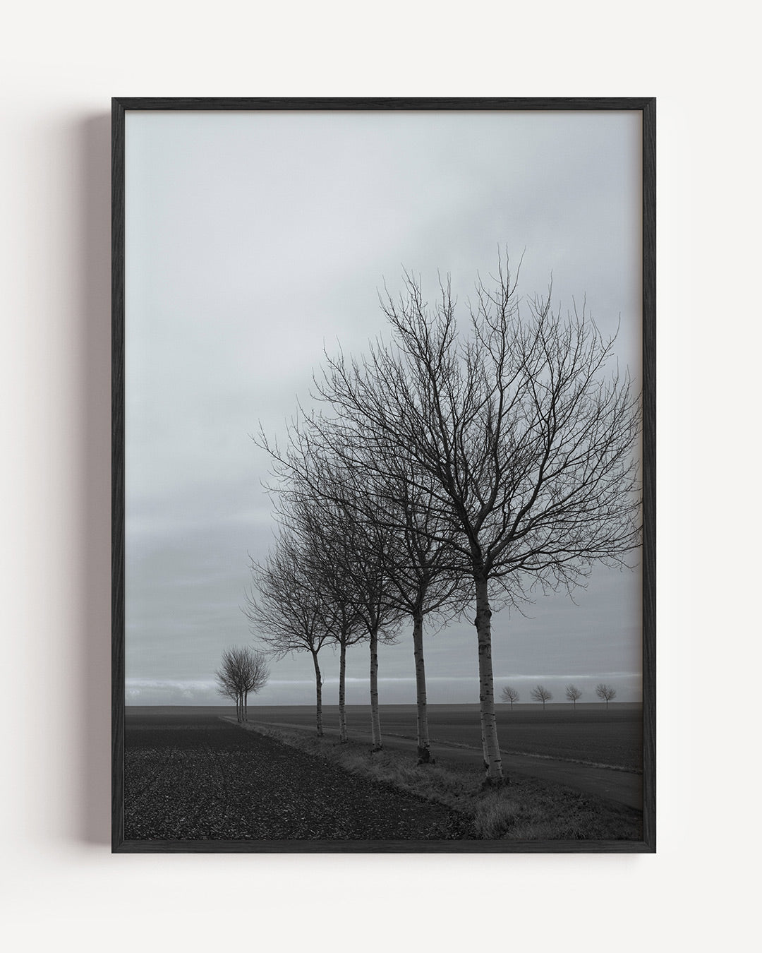 Landschap met bomenrij poster – portret wanddecoratie – een rij kale bomen langs een weg in een open landschap. De lucht is
