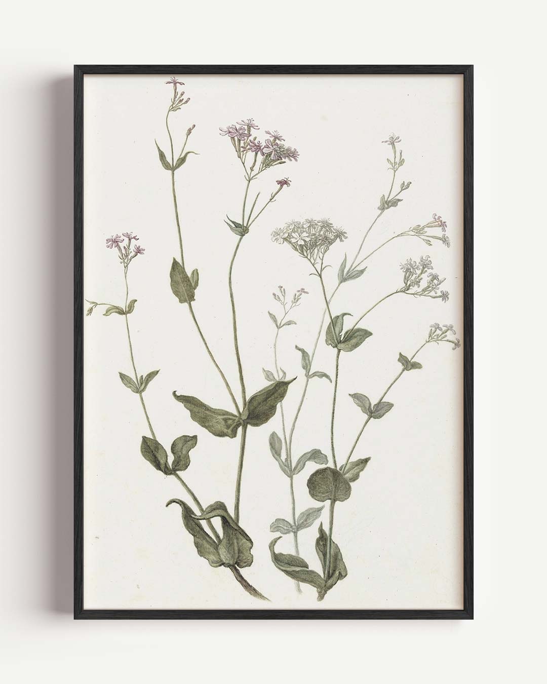 Botanische Bloemenposter – vintage portret poster als wanddecoratie