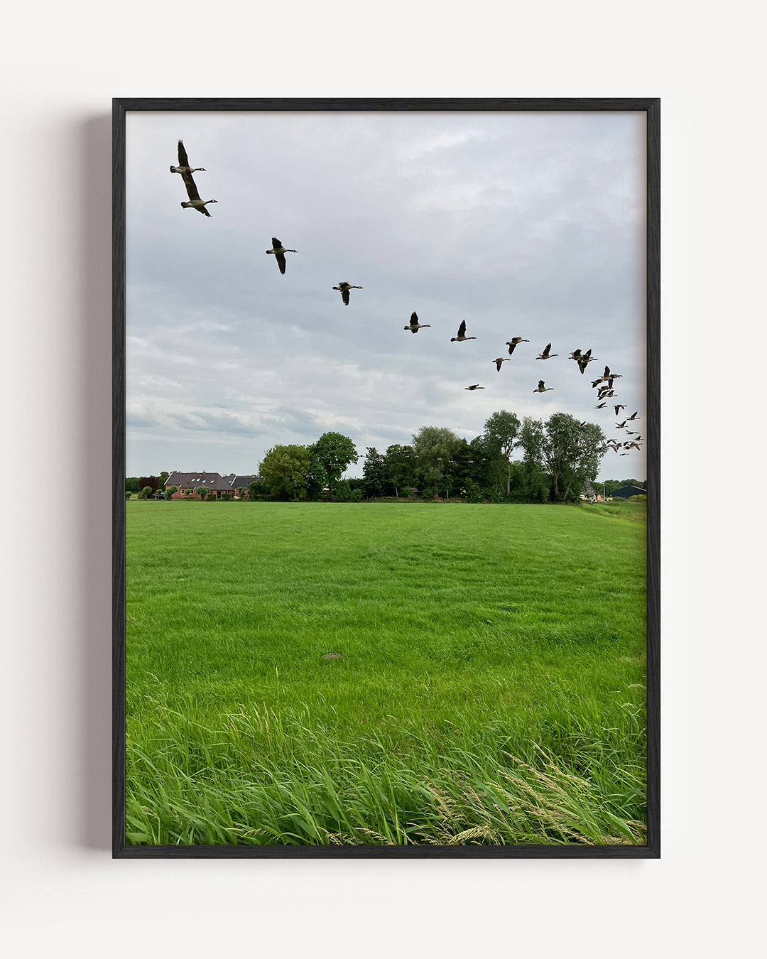 Vliegende vogels poster – portret wanddecoratie – een groep vogels vliegt in formatie over een uitgestrekt groen veld met