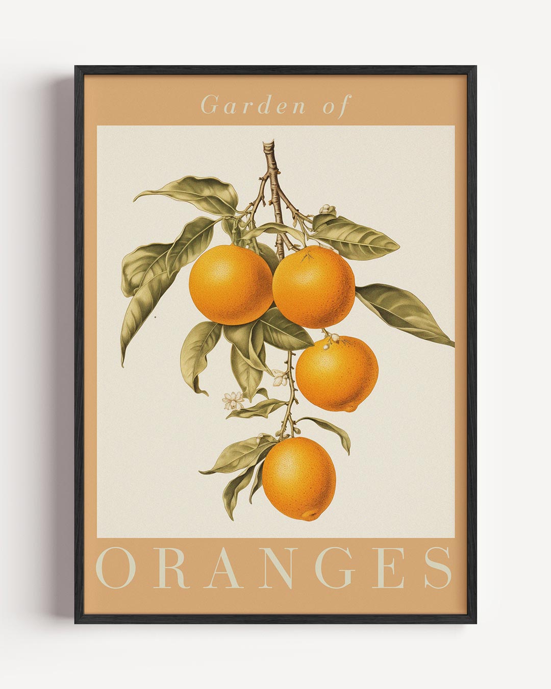 Garden of Oranges – keuken portret poster als wanddecoratie