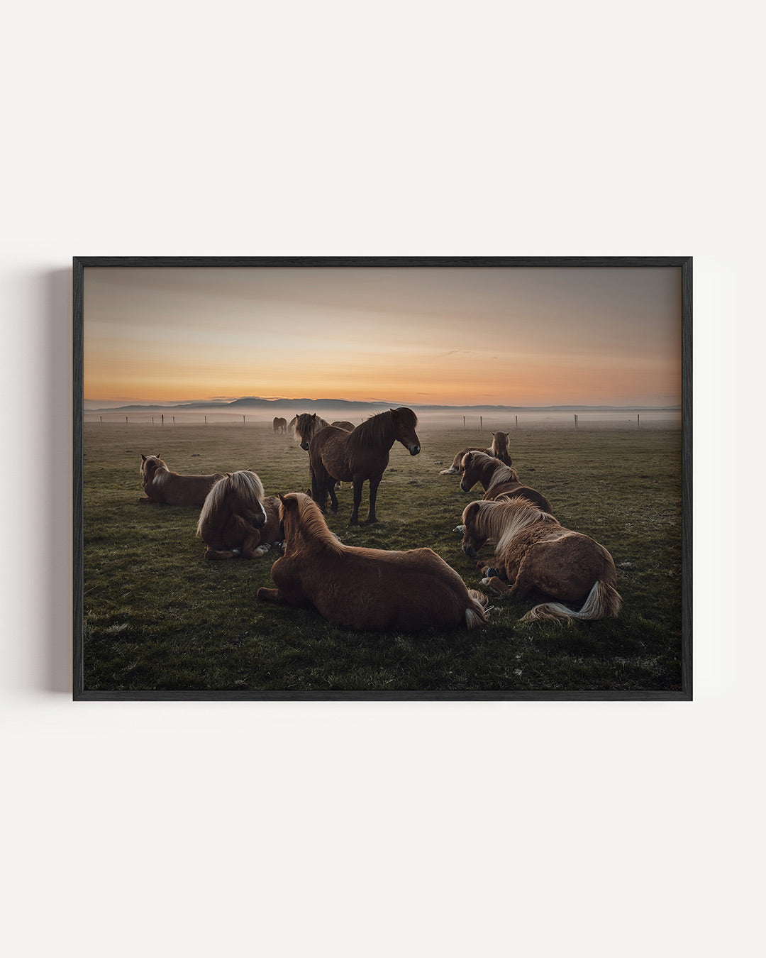 Rustige paardenweide poster – liggende wanddecoratie – een weide met paarden die ontspannen liggen en staan, omgeven door een