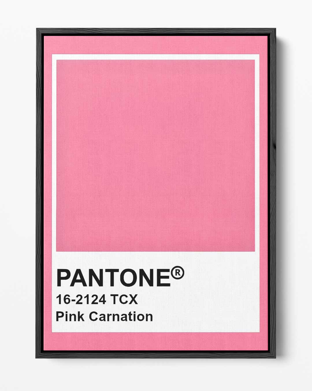 Roze Carnation Canvas – portret kunstwerk als wanddecoratie