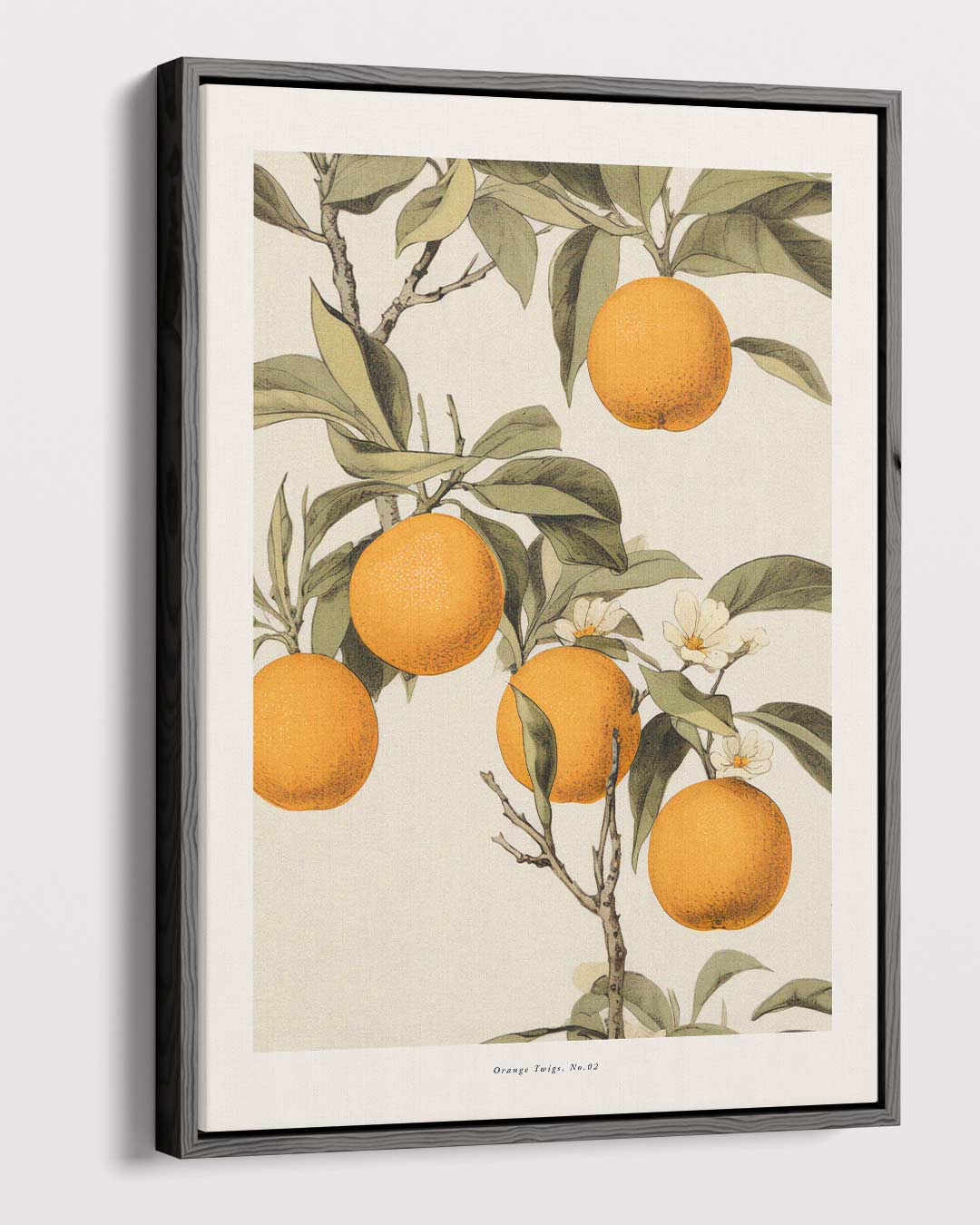 Vintage Sinaasappel Illustratie – dibond kunstwerk als wanddecoratie