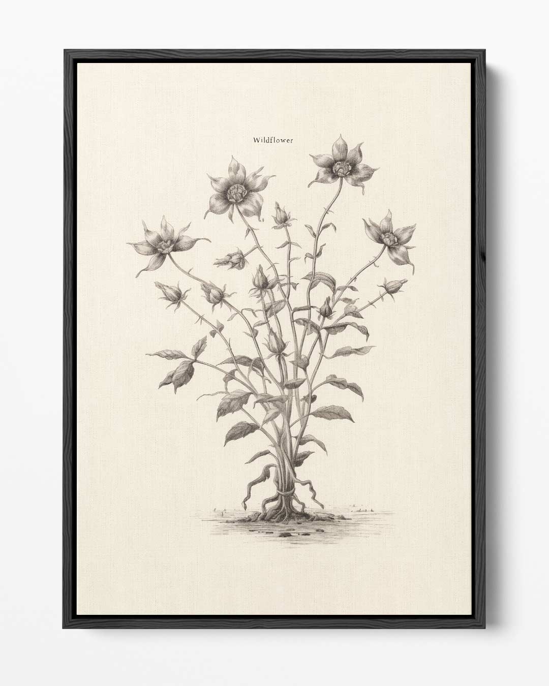 Sierlijke Wilde Bloem Illustratie – portret kunstwerk als wanddecoratie