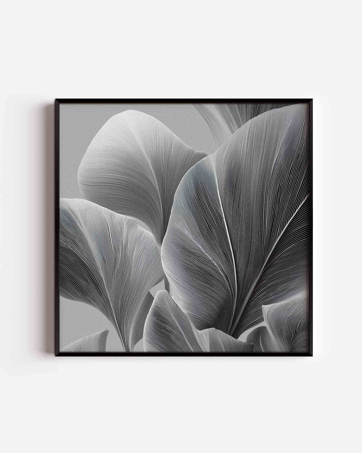Bladeren in zwart wit – abstracte vierkante poster als wanddecoratie