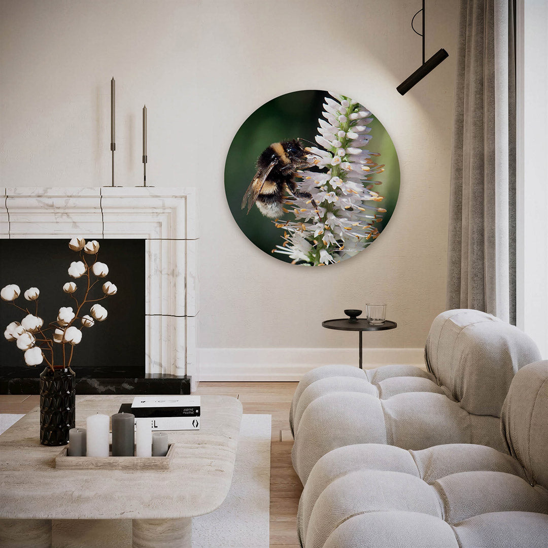 Bij op witte bloem – ronde fotografie wanddecoratie van WallArtistic