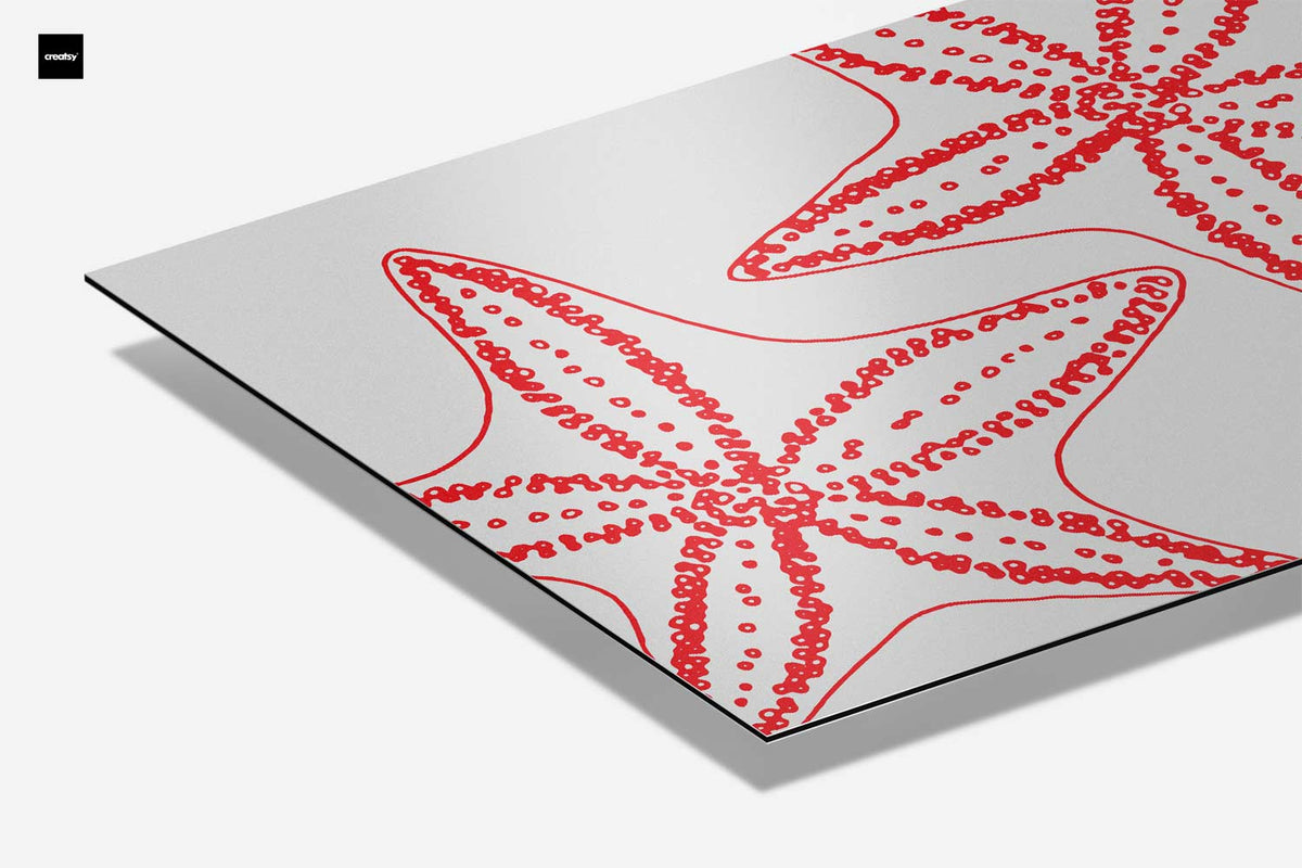 Sterren van de Zee – canvas kunstwerk als wanddecoratie