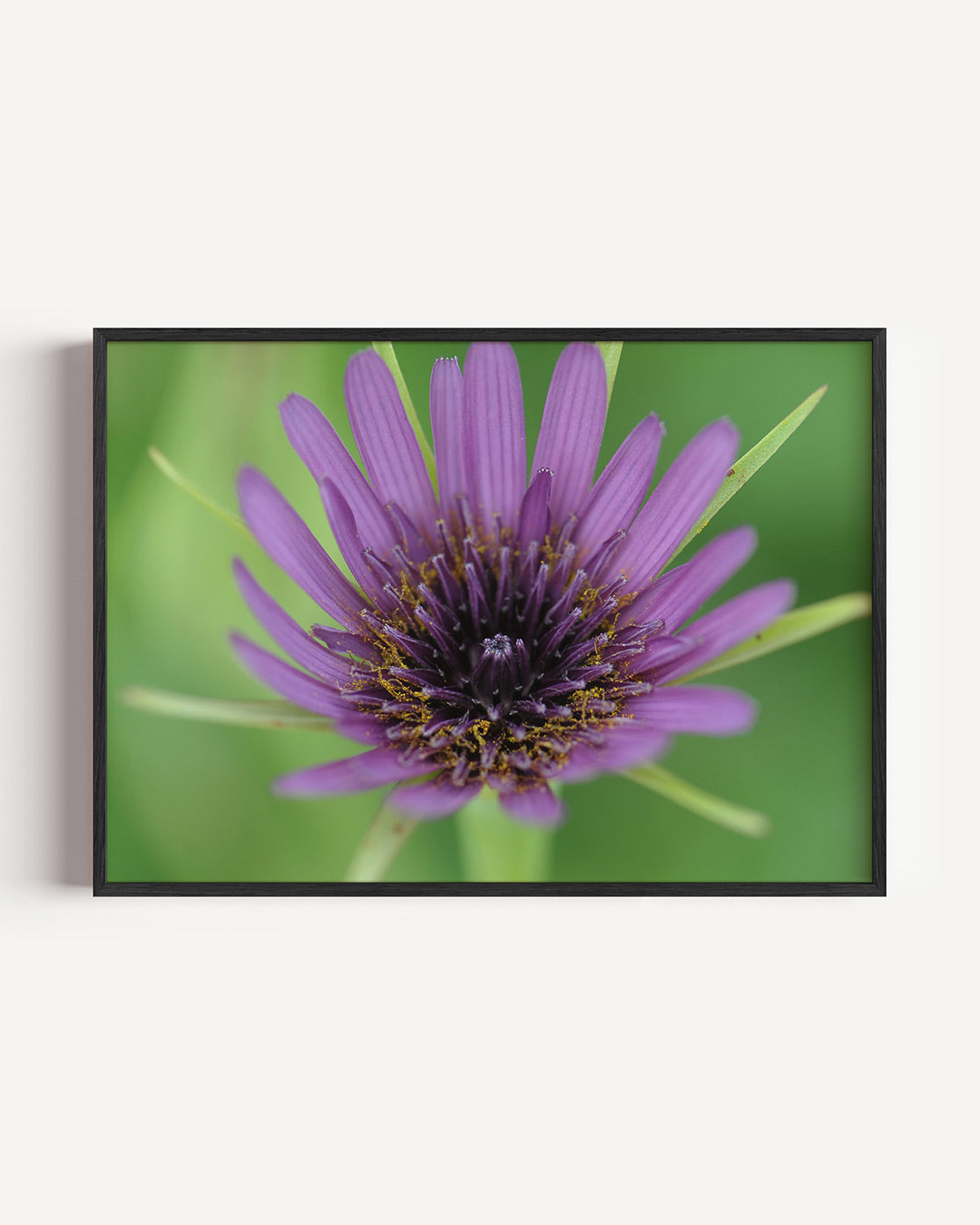 Paarse bloem close up poster – liggende wanddecoratie – deze poster toont een gedetailleerde close-up van een paarse bloem