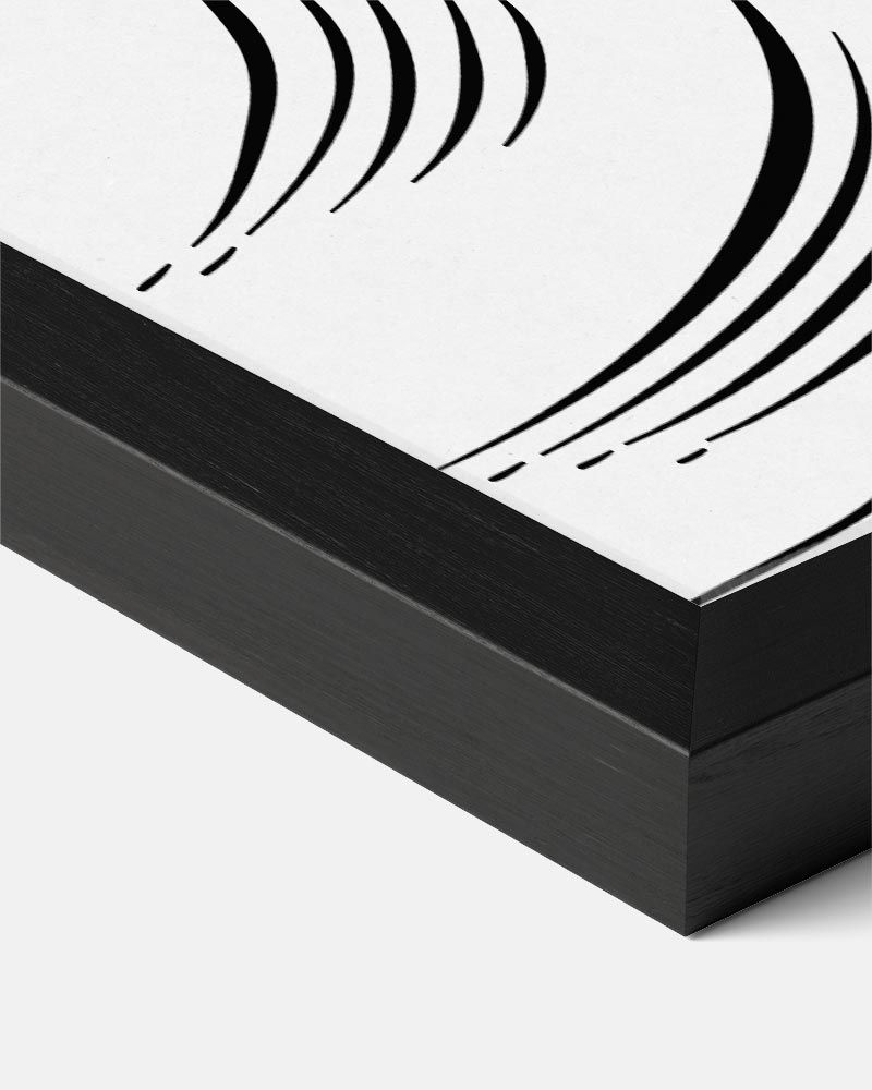 Elegante Schelpentekening – zeedieren portret poster, afbeelding 8