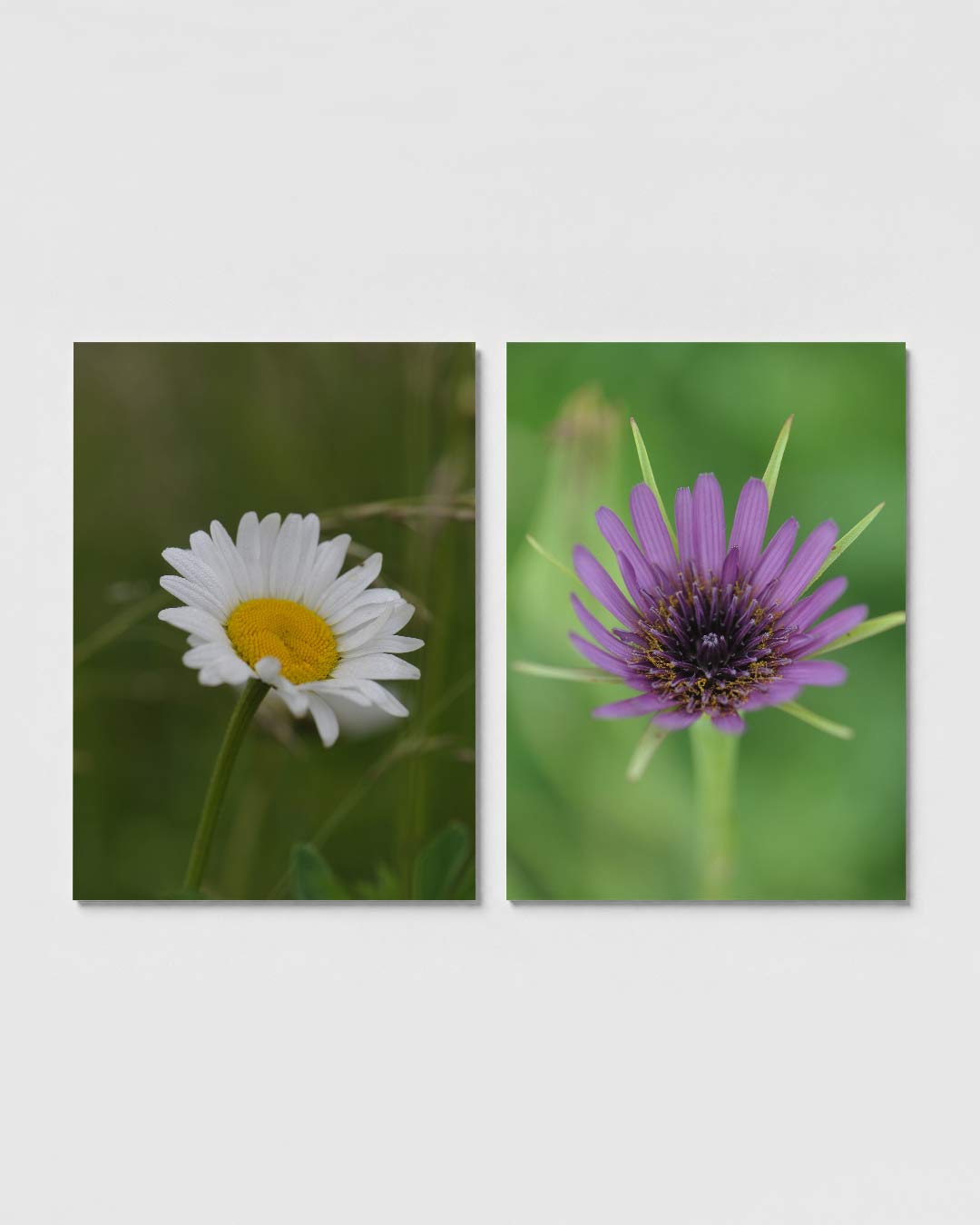 Abstract posterset – sfeerbeeld – een abstracte posterset met donkere tinten en een rustige visuele opbouw.