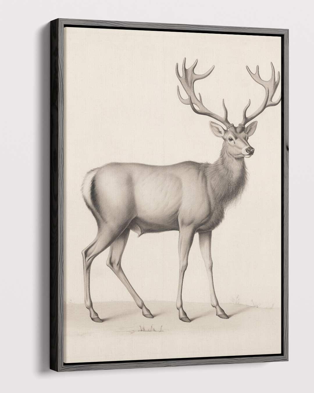 Elegante Hertenschets – dibond kunstwerk als wanddecoratie