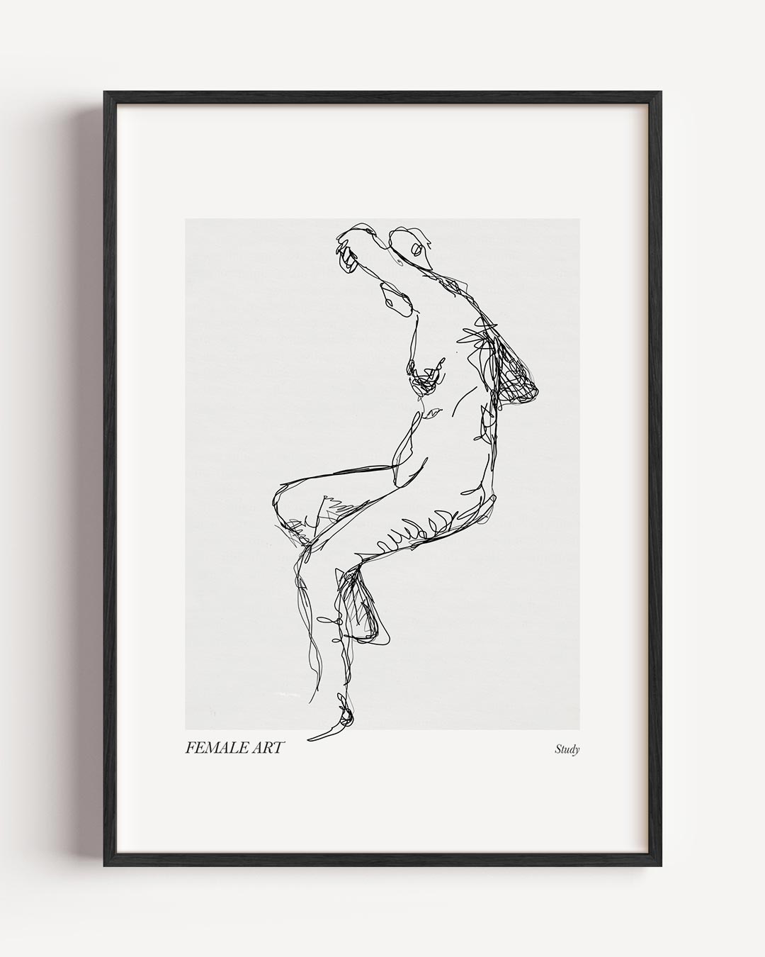 Gestroomlijnde Vrouwelijke Vorm – lijntekening portret poster als wanddecoratie