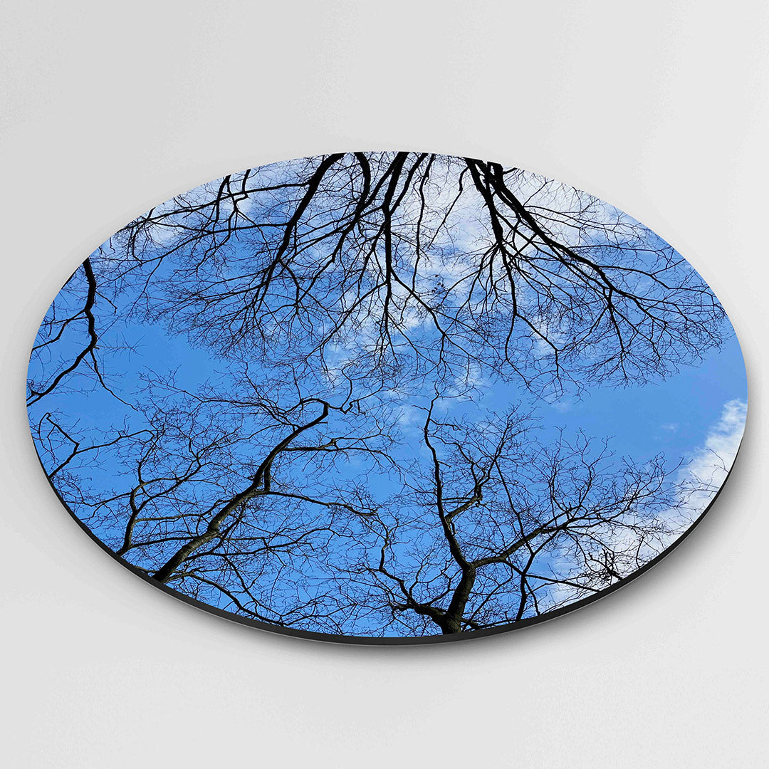 Blauwe lucht met takken – muurcirkel fotografie als moderne wanddecoratie