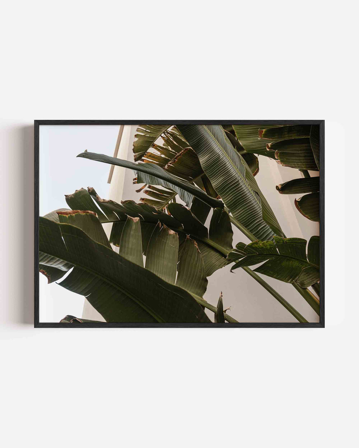 Bananenbladeren – moderne landscape poster als wanddecoratie