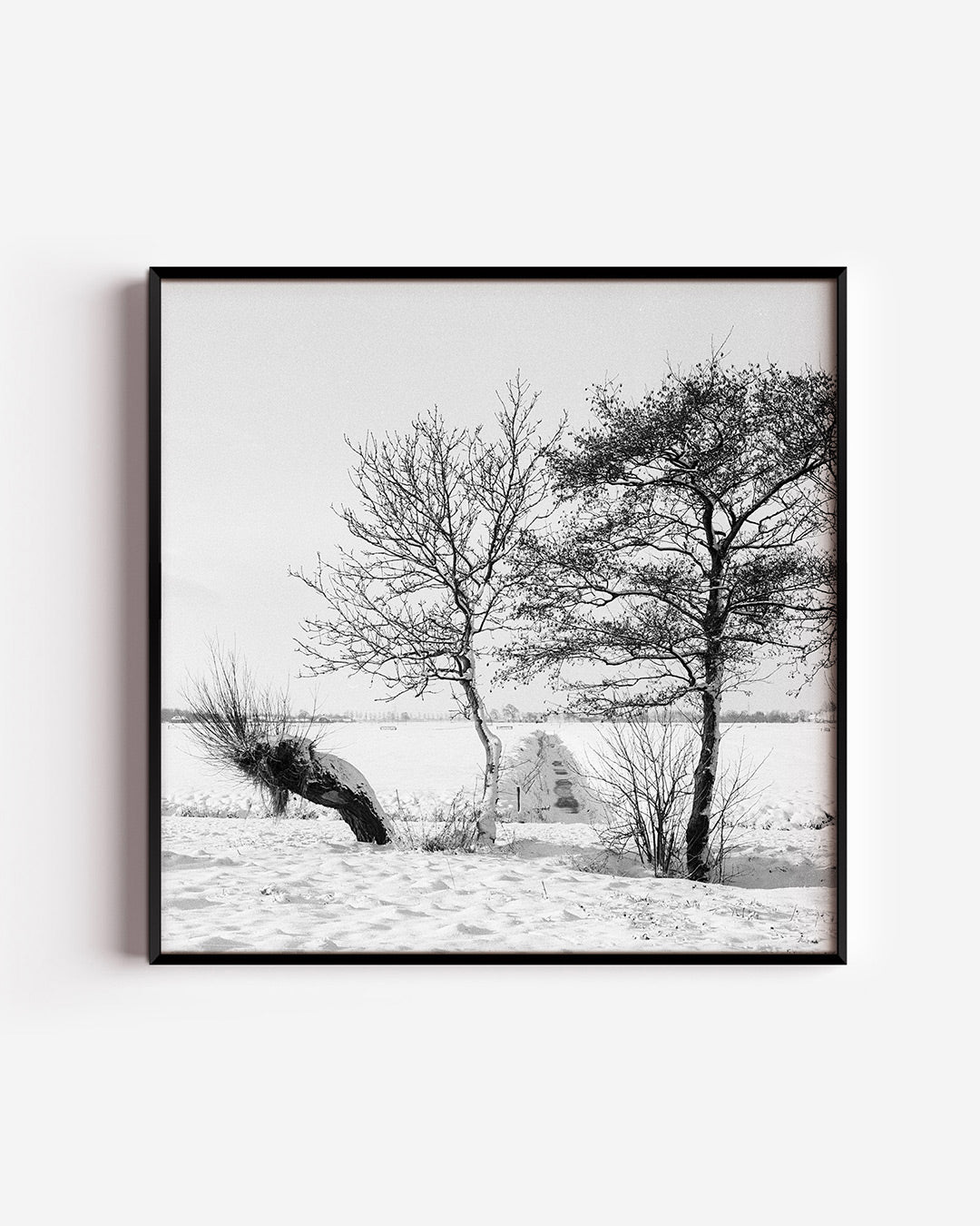 Winterse bomenlandschap poster – vierkante wanddecoratie – deze poster toont een serene winterse scène met twee kale bomen in