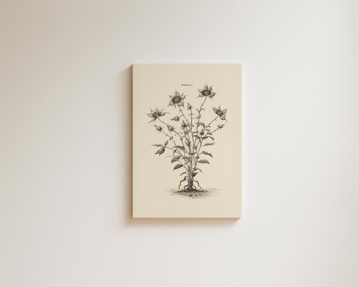 Sierlijke Wilde Bloem Illustratie – kunstwerk met zwarte baklijst
